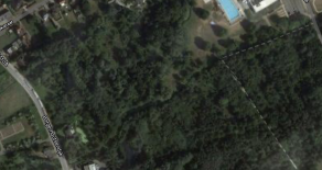 Mol : Perceel bos langs Borgerhoutsedijk 0,75ha
