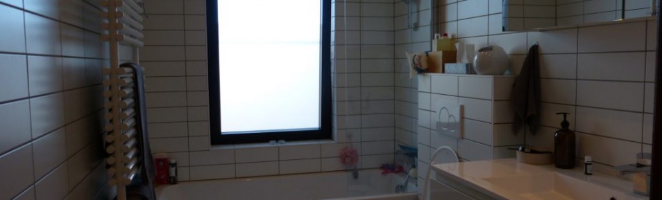 Kessel-Lo: gerenoveerde woning op 350 m²