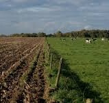 Meerhout-Olmen-Geel : landbouwgronden