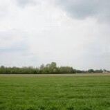 Geel : 20 ha aaneengesloten landbouwgrond